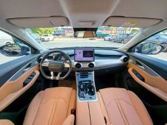 Dongfeng Xinghai T5 530km Deluxe Edition - ფოტო 5