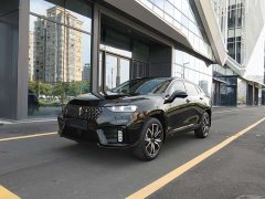 Great Wall WEY VV7 2.0T Tech Edition - ფოტო 1