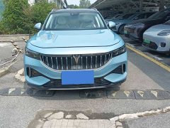 Voyah Lantu FREE Four-Wheel Drive Standard Extended Range Exclusive Luxury Package - ფოტო 2