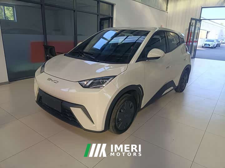 BYD Seagull Vitality Edition - ავტომობილი ჩინეთიდან