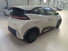 BYD Seagull Vitality Edition - ფოტო 6