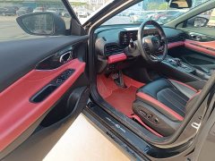 Trumpchi Leopard 270T DCT J10 Flying Man Edition - ფოტო 4
