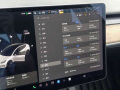 Tesla Model 3 Facelift Standard Range RWD Upgrade 3D1 - ფოტო 5