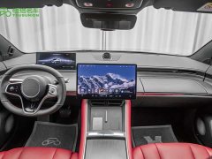Luxeed Zhiji S7 Max - ფოტო 13