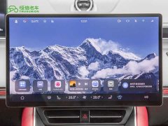 Luxeed Zhiji S7 Max - ფოტო 17
