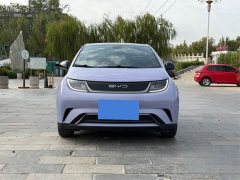 BYD Dolphin 420km Fashion Edition - ფოტო 2
