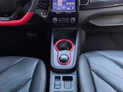 Chery Ant Sweet Pink Half-Sugar Ternary Lithium 30kW 301km - ფოტო 10