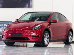 Tesla Model Y Rear-Wheel Drive - ფოტო 1