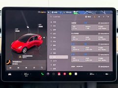 Tesla Model Y Rear-Wheel Drive - ფოტო 13