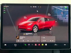 Tesla Model Y Rear-Wheel Drive - ფოტო 14