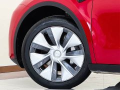 Tesla Model Y Rear-Wheel Drive - ფოტო 6