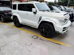 Tank 300 2023 Urban Edition 2.0T Essential - ფოტო 4