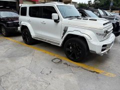 Tank 300 2023 Urban Edition 2.0T Essential - ფოტო 7