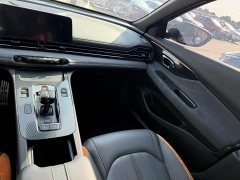 Trumpchi Leopard 270T DCT J16 R-style Track Edition - ფოტო 6