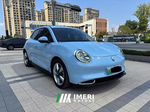 2021 ORA Good Cat 400km Standard Range Muse Edition LFP Battery - ავტომობილი ჩინეთიდან