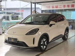 Wuling Bingo S 430km Flagship - ფოტო 1