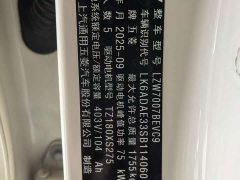 Wuling Bingo S 430km Flagship - ფოტო 10