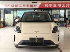 Wuling Bingo S 430km Flagship - ფოტო 2
