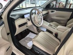 Wuling Bingo S 430km Flagship - ფოტო 4