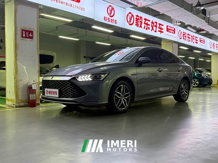 BYD Qin PLUS 2023 Champion Edition DM-i 120KM Leading - ავტომობილი ჩინეთიდან