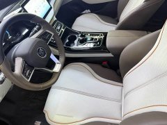 BYD Qin PLUS 2023 Champion Edition DM-i 120KM Leading - ფოტო 7