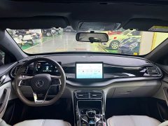 BYD Qin PLUS 2023 Champion Edition DM-i 120KM Leading - ფოტო 9