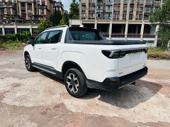 Geely Radar Horizon 460km AWD Max Edition - ფოტო 12