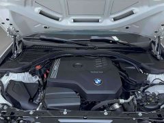 BMW 3 Series 320Li M Sport Package - ფოტო 20