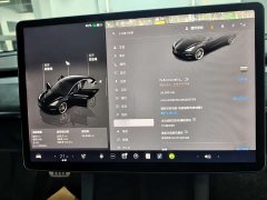 Tesla Model 3 Performance All-Wheel Drive - ფოტო 12