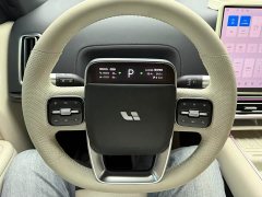 Li Auto L8 Max - ფოტო 8