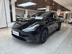 Tesla Model Y Rear-Wheel Drive - ფოტო 1