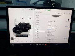 Tesla Model Y Rear-Wheel Drive - ფოტო 11