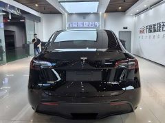 Tesla Model Y Rear-Wheel Drive - ფოტო 3