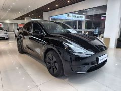 Tesla Model Y Rear-Wheel Drive - ფოტო 4