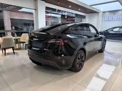 Tesla Model Y Rear-Wheel Drive - ფოტო 5