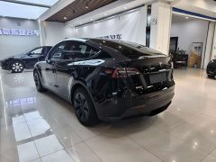 Tesla Model Y Rear-Wheel Drive - ფოტო 6