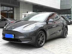 Tesla Model Y Rear-Wheel Drive - ფოტო 1