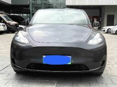 Tesla Model Y Rear-Wheel Drive - ფოტო 2