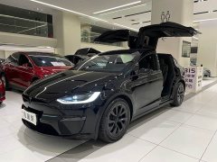 Tesla Model X Dual Motor All-Wheel Drive - ფოტო 1