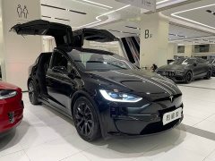 Tesla Model X Dual Motor All-Wheel Drive - ფოტო 2