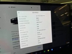 Tesla Model X Dual Motor All-Wheel Drive - ფოტო 20