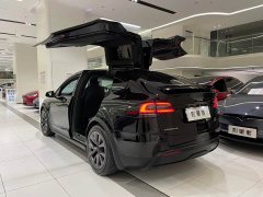 Tesla Model X Dual Motor All-Wheel Drive - ფოტო 4