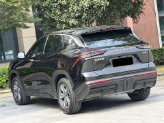 Jetour Jietu Dasheng 1.5T DCT Starlight PRO - ფოტო 10