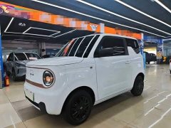 Geely Panda Mini 200km Endurance Edition - ფოტო 1