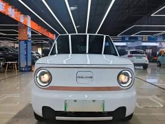 Geely Panda Mini 200km Endurance Edition - ფოტო 2