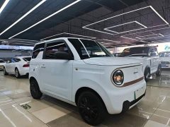 Geely Panda Mini 200km Endurance Edition - ფოტო 3