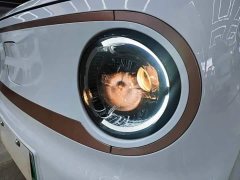 Geely Panda Mini 200km Endurance Edition - ფოტო 7