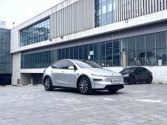 Tesla Model Y Rear-Wheel Drive Launch Edition - ფოტო 2
