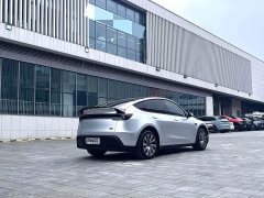 Tesla Model Y Rear-Wheel Drive Launch Edition - ფოტო 4