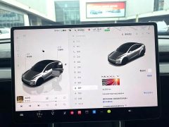 Tesla Model Y Rear-Wheel Drive Launch Edition - ფოტო 9
